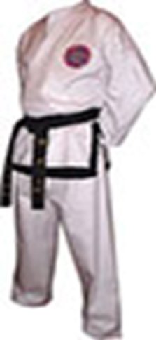 Taekwondo GTF for Master